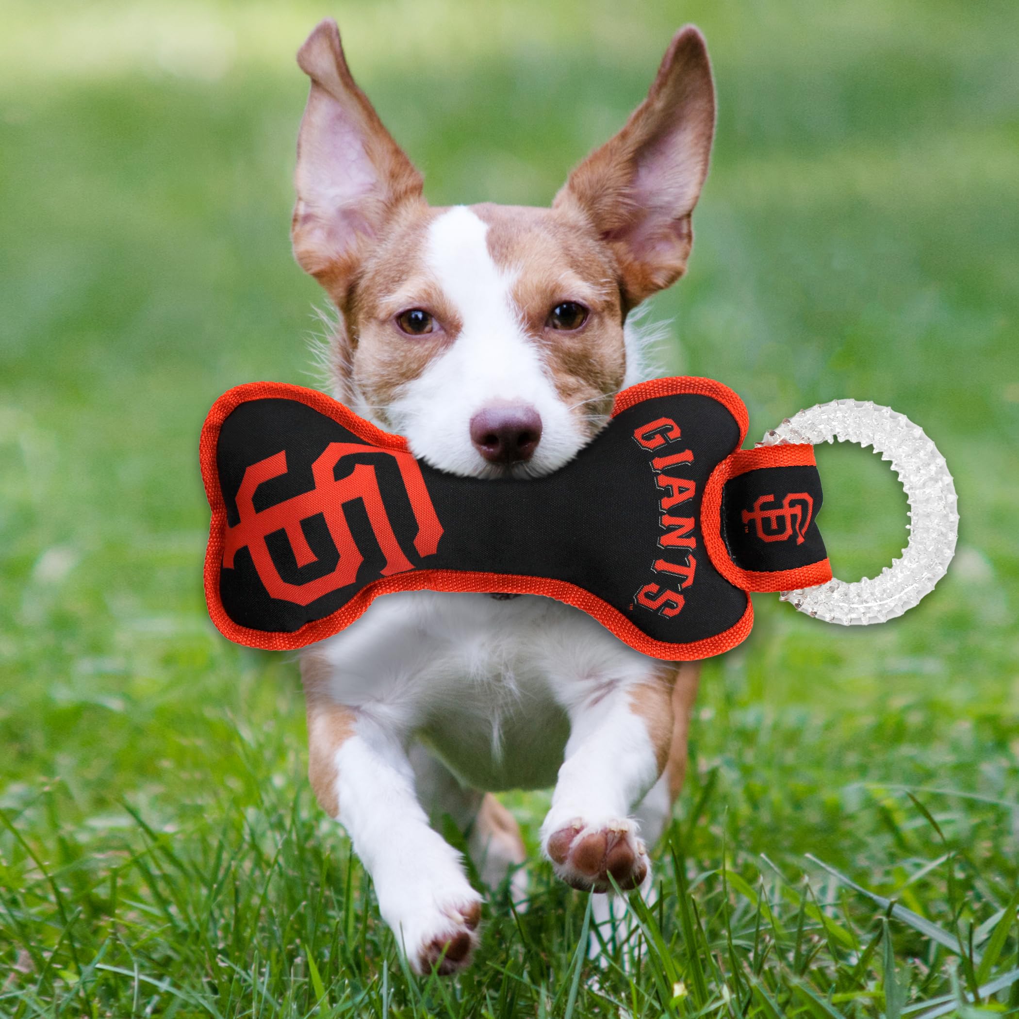 Mlb San Francisco Giants Bone Shaped Dental Dog Tug Toy With Squeaker. Tough Pet Toy For Healthy Fun, Teething, And Cleaning Pet